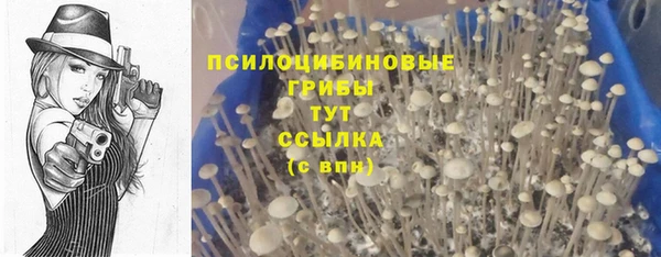 соль курить ск Абинск